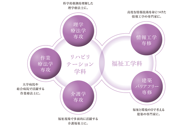 図：健康科学部の構成図