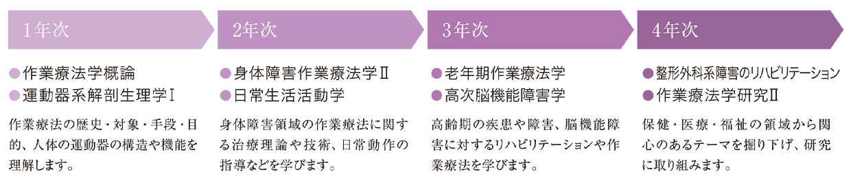 図：1年次では「作業療法概論」「運動器系解剖生理学Ⅰ」、2年次では「身体障害作業療法学む「高次脳機能障害学」、3年次では「老年期作業療法学」「高次脳機能障害学」、4年次では「整形外科系障害のリハビリテーション」「作業療法研究Ⅱ」を学びます