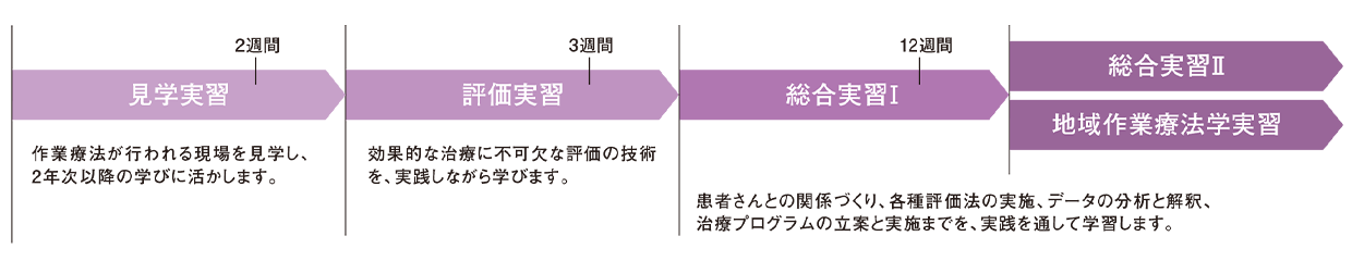 図：見学実習（2週間）、評価実習（3週間）、総合実習Ⅰ（12週間）、総合実習Ⅱ、地域作業療法学実習