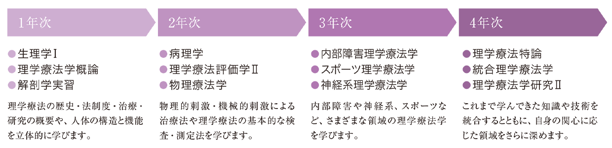 図：1年次は「生理学Ⅰ」「理学療法学概論」「解剖学実習」、2年次は「病理学」「理学療法評価学Ⅱ」「物理療法学」、3年次は「内部障害理学療法学」「スポーツ理学療法学」「神経理学療法学」、4年次は「理学療法持論」「統合理学療法学」「理学療法学研究Ⅱ」を学びます