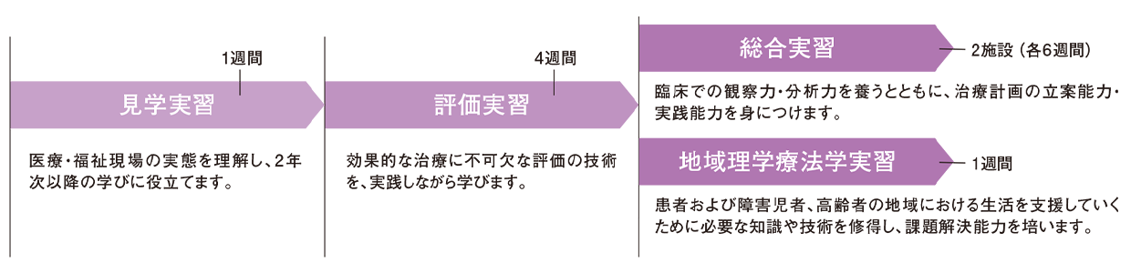 図：見学実習（一週間）、評価実習（4週間）、総合実習（2施設各6週間）、地域理学療法学実習（1週間）