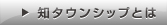 知タウンシップとは