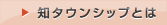 知タウンシップとは