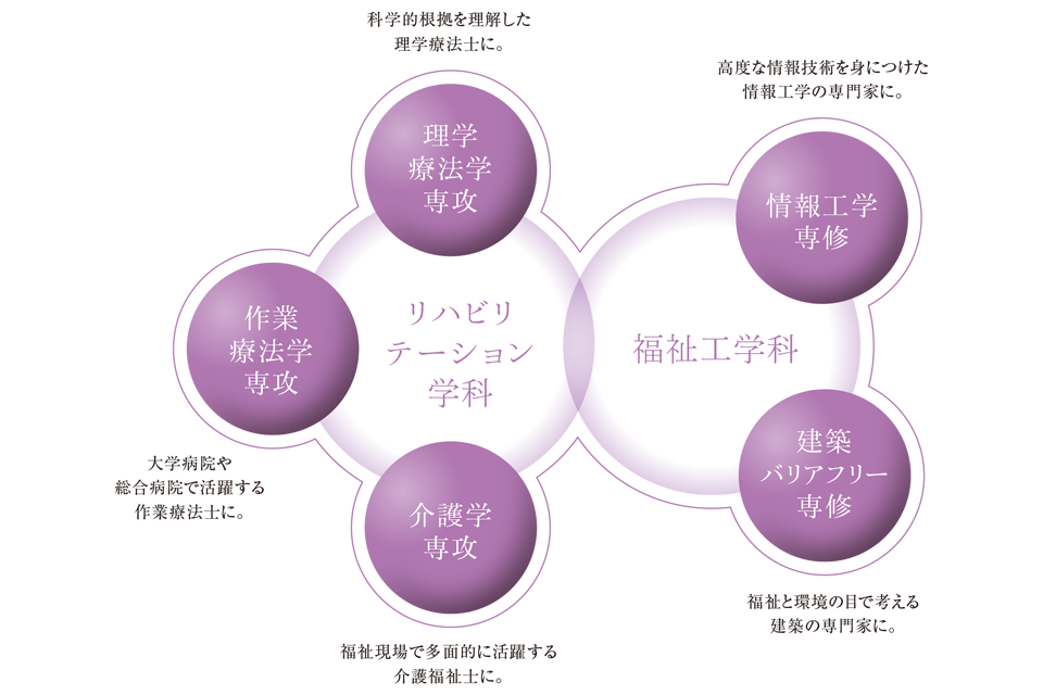 図：2学科（3専攻・2専修）の図解