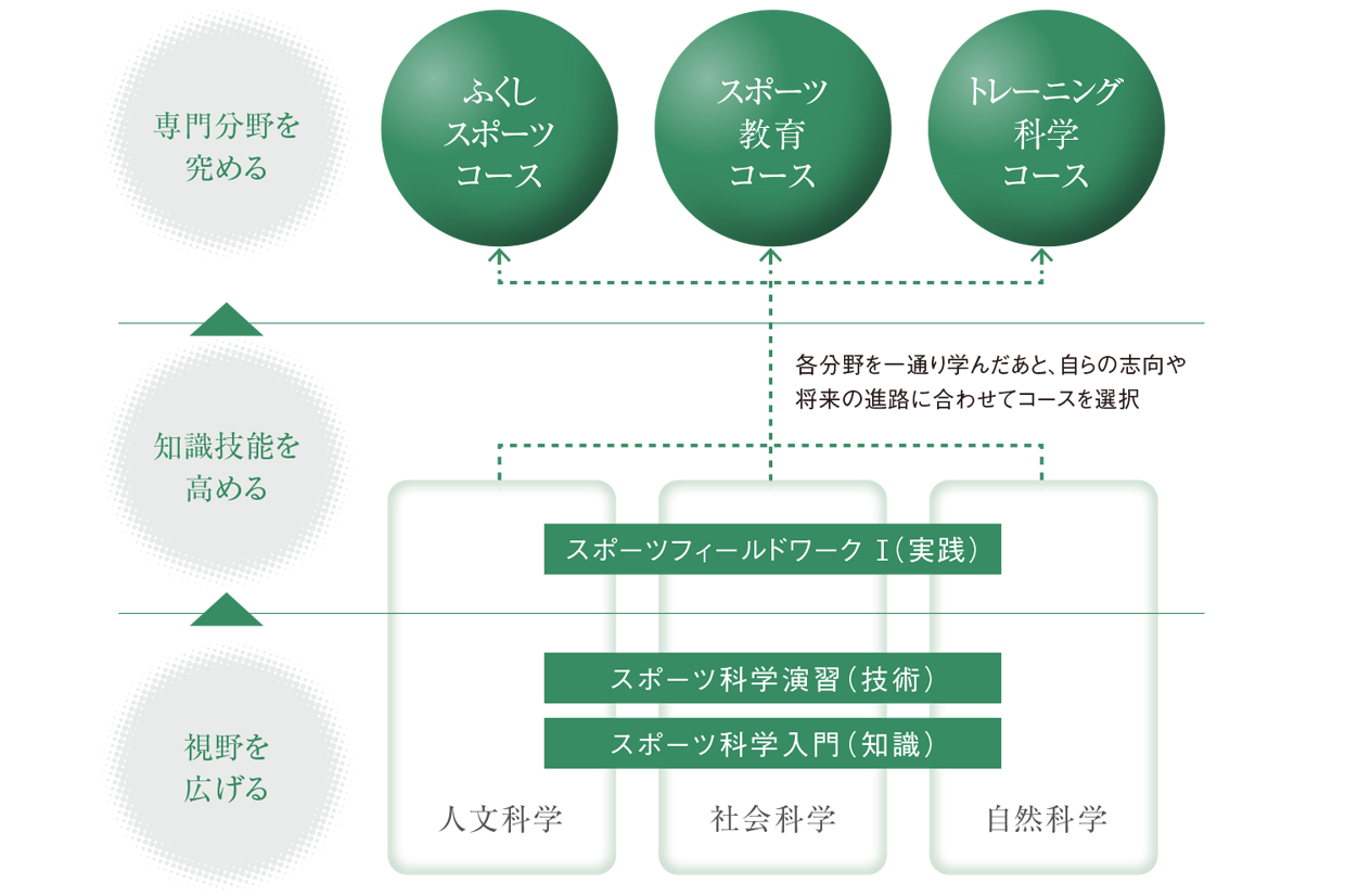 人文科学、社会科学、自然科学それぞれの視野を広げるために幅広い分野の知識や技術を学べます。さらに、フィールドワークの実践を行い知識技能を高める事が出来ます。3年生からは専門分野を究めるためふくしスポーツコース、スポーツ教育コース、トレーニング化学コースに分かれて学習します。