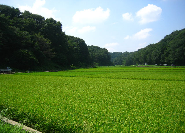 地方創生と地域金融機関