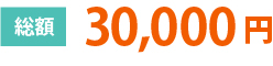 総額 30,000円