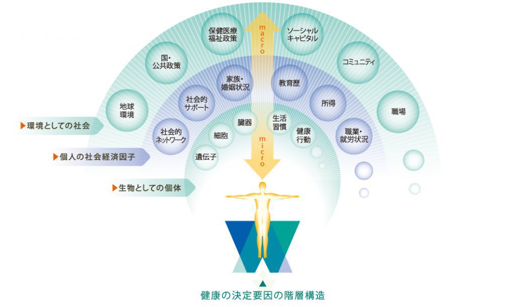 図：健康の決定要因の階層構造