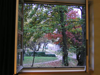 ��������̕��i