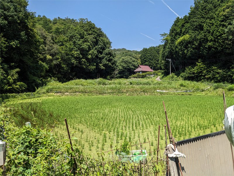 沢田町南 沢田町南