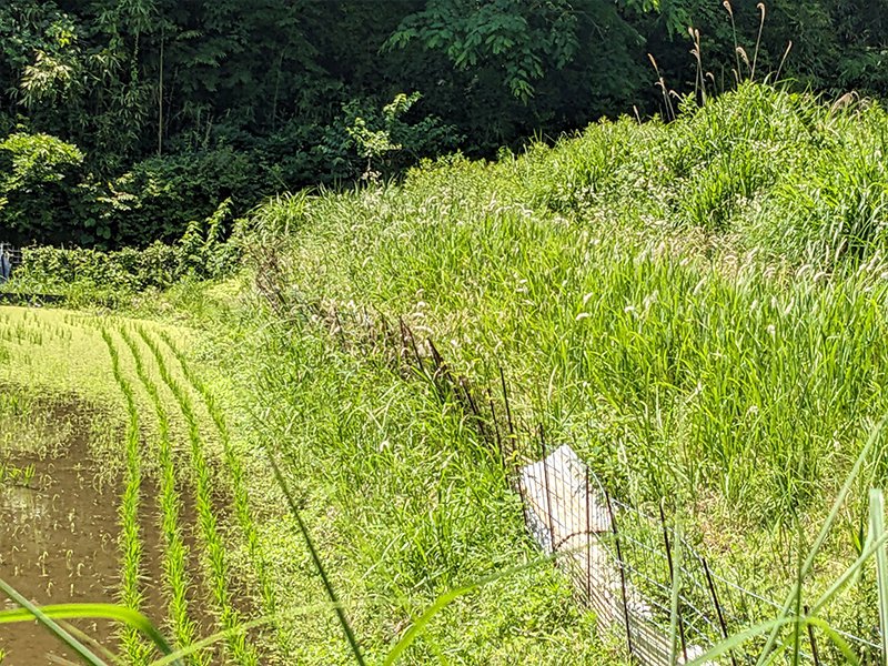 沢田町北 沢田町北