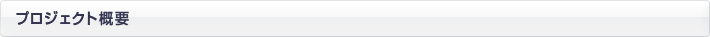 プロジェクト概要
