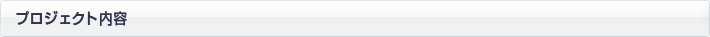 プロジェクト内容
